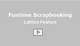 Video Lattice Feature