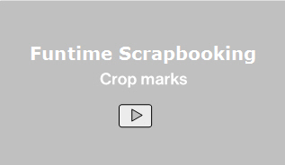 Video crop mark